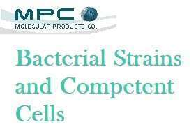 Bacterial Strains and Competent Cells