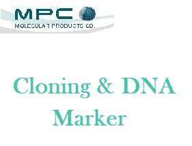 Cloning & DNA Marker