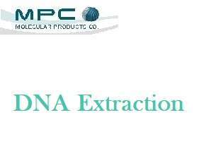 DNA Extraction