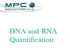 DNA and RNA Quantification