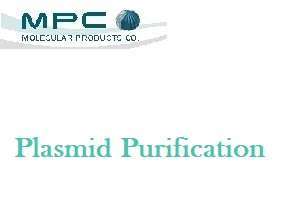 Plasmid Purification