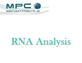 RNA Analysis