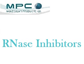 RNase Inhibitors