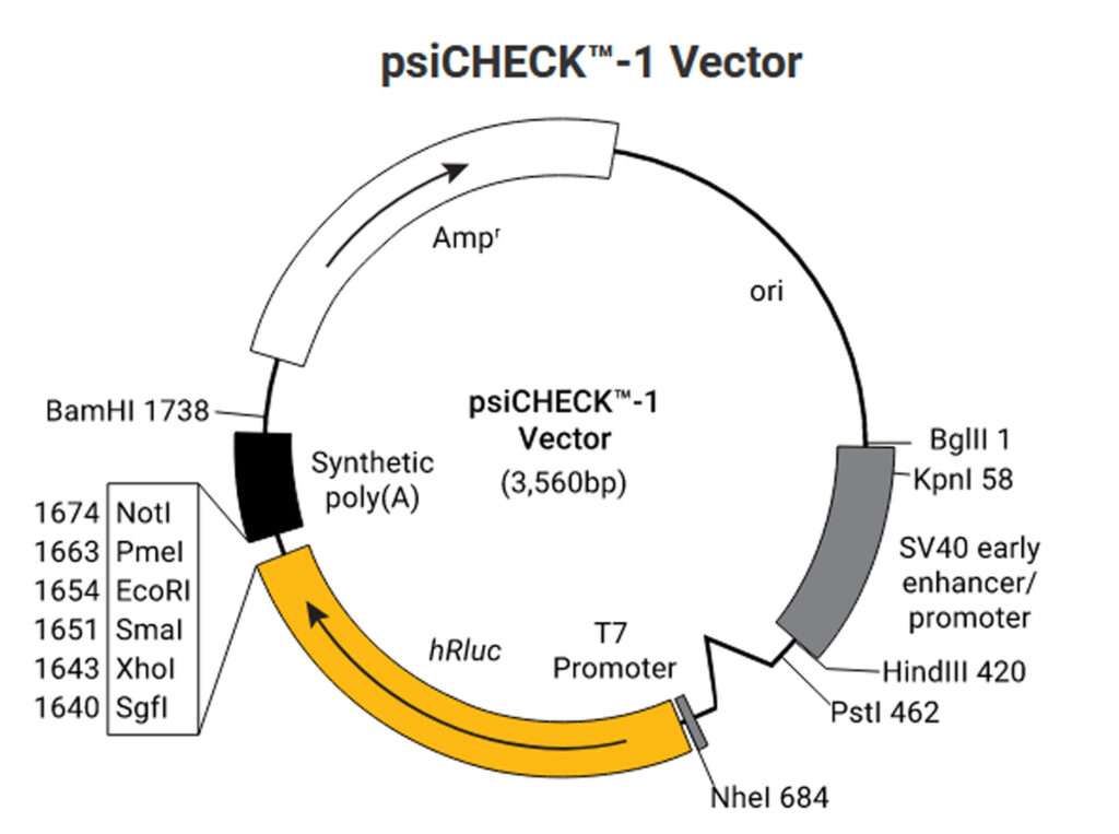 psicheck-1-and-psicheck-2-vectors-molecular-products-co