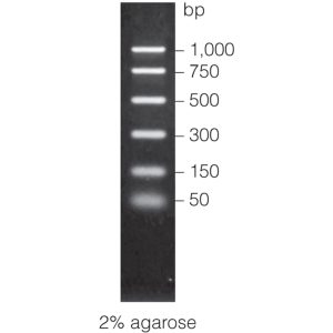 PCR Markers