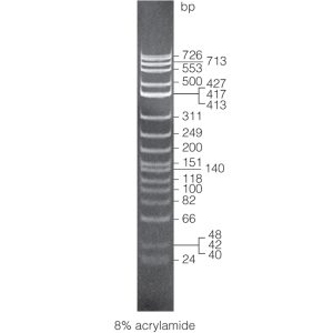 ΦX174 DNA/HinfI Dephosphorylated Markers