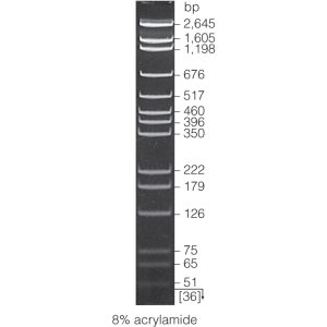 pGEM® DNA Markers