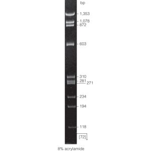 ΦX174 DNA/HaeIII Markers