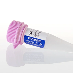 dNTPs (Deoxynucleotide Triphosphates)