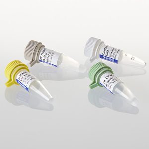 pGEM®-T Easy Vector Systems