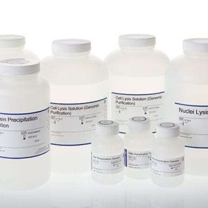 Wizard® Genomic DNA Purification Kit
