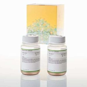 Wizard® MagneSil® Sequencing Reaction Clean-Up System