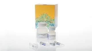 Wizard® SV Gel and PCR Clean-Up System