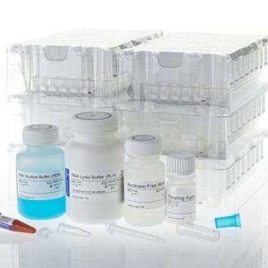 Maxwell® 16 Tissue LEV Total RNA Purification Kit