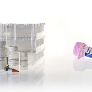 Maxwell® 16 Cell LEV Total RNA Purification Kit