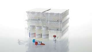 Maxwell® 16 LEV simplyRNA Purification Kits