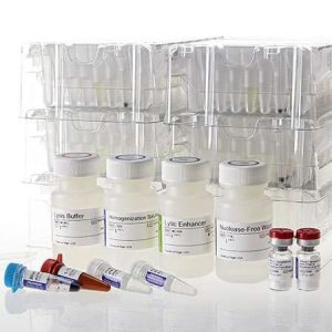Maxwell® 16 miRNA Tissue Kit