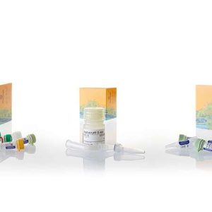 Universal RiboClone™ cDNA Synthesis System