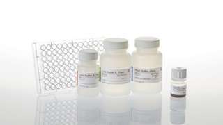 Wizard® Magnetic 96 DNA Plant System