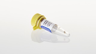 BenchTop ΦX174 DNA/HaeIII Markers