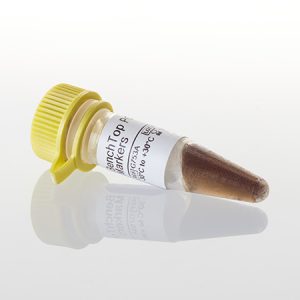 BenchTop PCR Markers